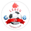 FC Bristol logo