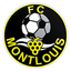 Football Club Montlouis logo