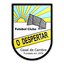 FC Despertar logo