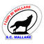 Mallare logo