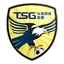 Tainan City Taiwan Steel Group logo