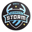 Georgia Storm Soccer Academy logo