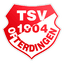 TSV Ofterdingen logo