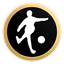 Stockholm StreetSoccer FF logo