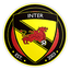 Internazionale Taoyuan logo