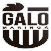 Galo Maringá