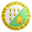 Nakhichevan Rostov-na-Donu logo