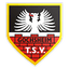 TSV Gochsheim logo