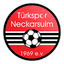Türkspor Neckarsulm logo