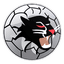 Woongarrah FC logo