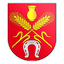 FC Kostyukovichi logo
