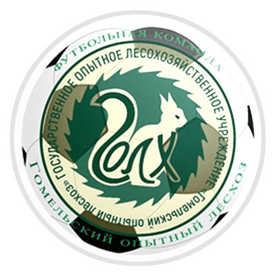 FC Leskhoz Gomel