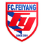 Anshan Feiyang logo