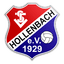 TSV Hollenbach logo
