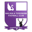 Nailsea & Tickenham logo