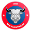 Parintins Futebol Clube logo