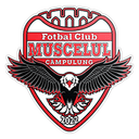 Muscelul Câmpulung