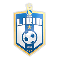 RFC Wallonia Libin
