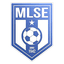 Martfűi LSE logo