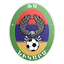 Nikarm Vanadzor logo