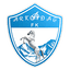 FK Arkadag logo
