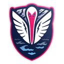 Tormenta FC