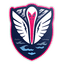 South Georgia Tormenta FC logo