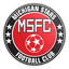 Michigan Stars FC logo