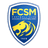 FCSM