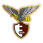 Alma Juventus Fano 1906 logo