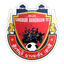 Singburi FC logo