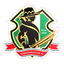 Nakhon Nayok FC logo