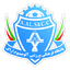 Aluminium Arak Football Club logo