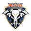 Nan FC logo