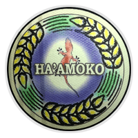 Ha'amoko United Youth
