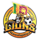Up Country Lions