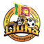 Up Country Lions Sports Club logo