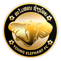 Young Elephant Football Club