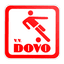 VV DOVO logo