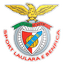 Associação Desportiva e Sport Laulara e Benfica logo
