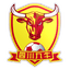 Sichuan Jiuniu logo