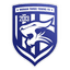 Wuhan Three Towns logo