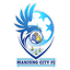Manjung City FC logo