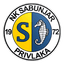 NK Sabunjar logo