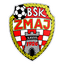 BŠK Zmaj Blato logo