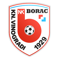 NK Borac Kneževi Vinogradi
