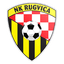 NK Rugvica-Sava 1976 logo