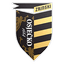 NK Zrinski Osječko 1664 logo
