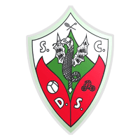 Dragões Sandinenses