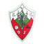 Dragões Sandinenses logo